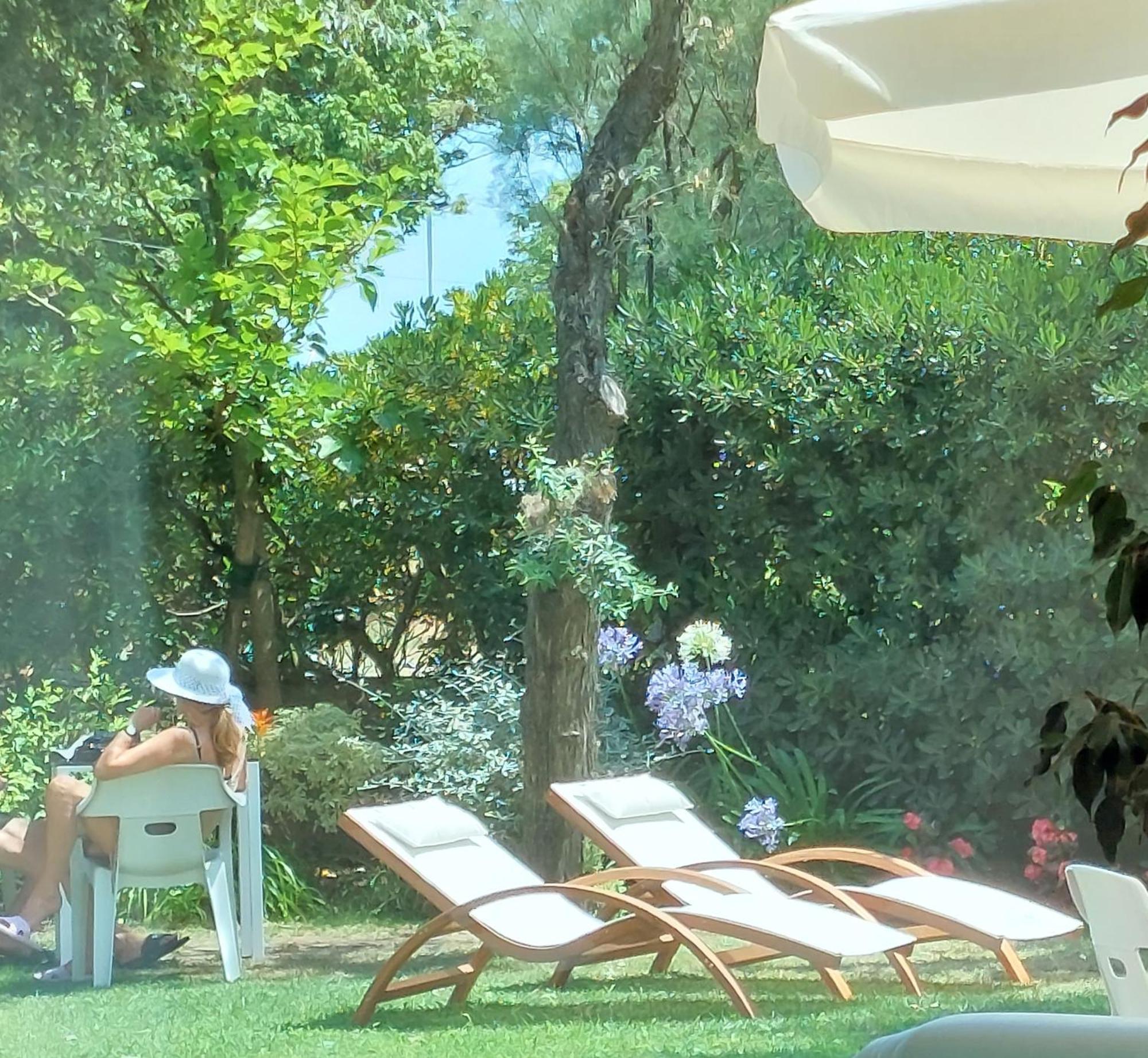 Hotel Astor B&B ميكيلي المظهر الخارجي الصورة
